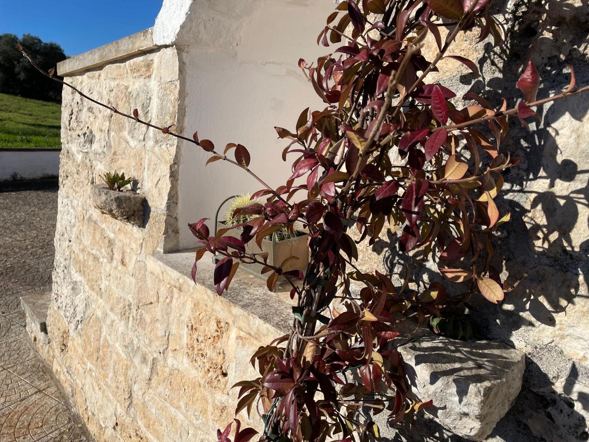 Villa Trulli Del Sole Martina Franca Exterior foto